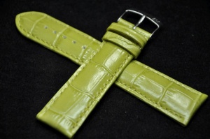 Pasek Morellato Samba 2704, Skórzany, Zielony, 22mm