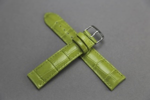 Pasek Morellato Samba 2704, Skórzany, Zielony, 20mm