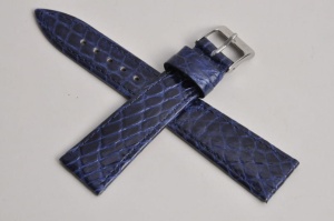 Pasek Campagnolo 601010, Skóra z krokodyla, Granatowy, 20mm