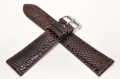 Sesja studio-1235.jpg