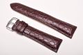 Sesja studio-014.jpg