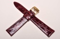 Sesja studio-038.jpg