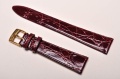 Sesja studio-039.jpg