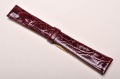 Sesja studio-041.jpg