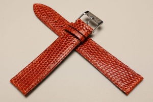 Pasek Campagnolo 711260, Skóra z jaszczurki, Brązowy, 20mm, XL