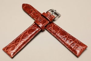 Pasek Campagnolo 609060, Skóra z krokodyla, Brązowy, 20mm, XL 