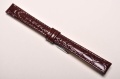 Sesja studio-021.jpg
